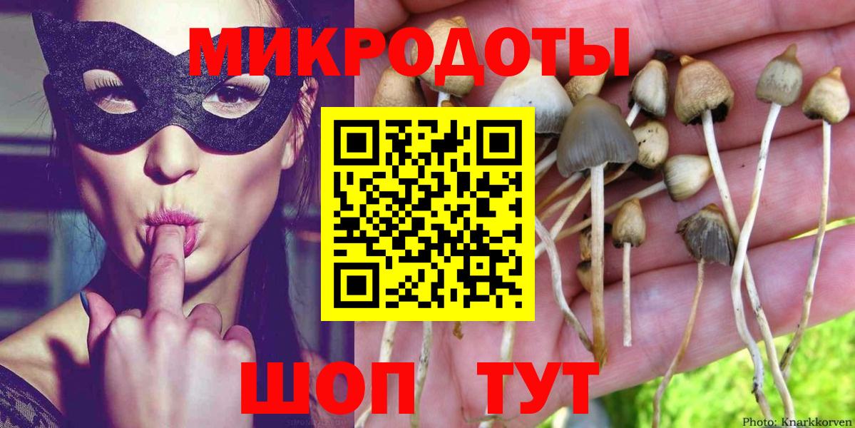 Псилоцибиновые грибы Psilocybe  Вход с VPN  Дубна  Псилоцибиновые грибы мухоморы 