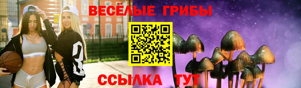 Галлюциногенные грибы MAGIC MUSHROOMS Дубна