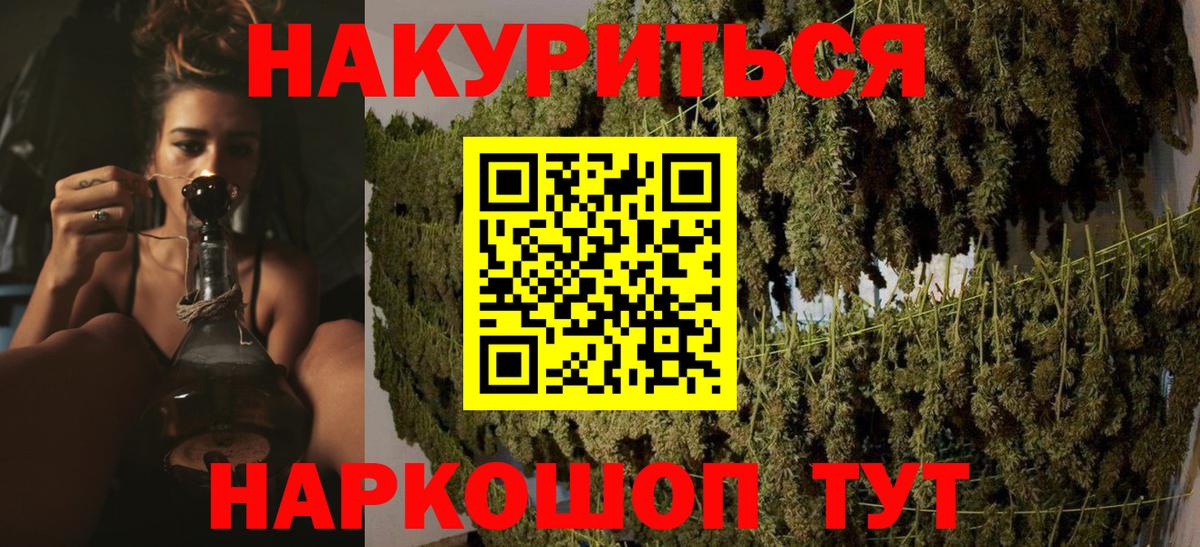 Бошки Шишки ГИДРОПОН  Конопля конопля  Дубна  Вход с VPN 